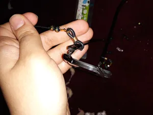 تجریه خرید بند عینک زنانه کد NM18