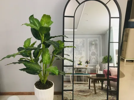 آینه مدل قدی فلزی طرح تاج پایه دار F-180