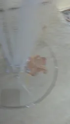 بادکنک مدل Soor4  به همراه استند بادکنک مجموعه ۸ عددی