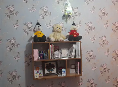 کتابخانه دیواری چهار طبقه چوبیکو مدل bookshelf 700