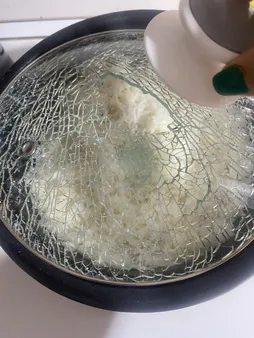 پلوپز پارس خزر مدل RC-181 TYAN