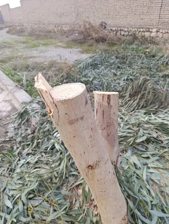 اره زنجیری پی ای پی مدل 2140