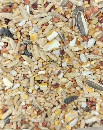 غذای خشک طوطی سانان مای برد کد GJ وزن 1 کیلوگرم