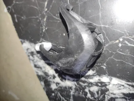 چراغ جلو و عقب دوچرخه مدل ژله ای بسته 2 عددی