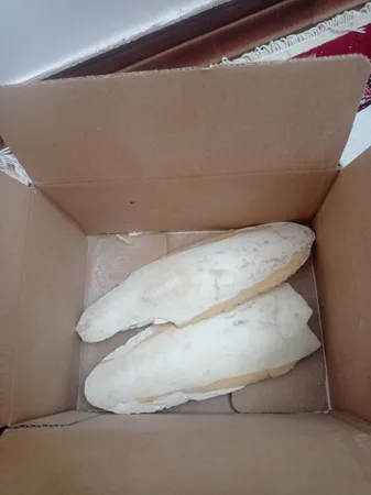 کف دریا کد M202 وزن 200 گرم مجموعه 3 عددی