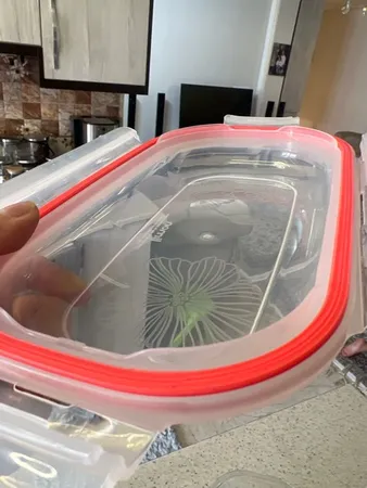 ظرف نگهدارنده لیمون کد 2006