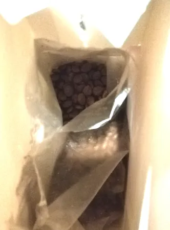 غذای خشک بچه گربه مفید مدل Chiken وزن 500 گرم