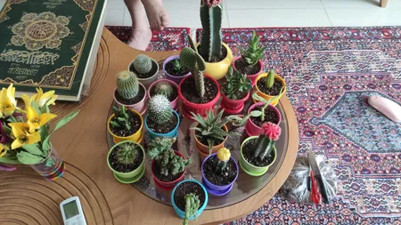 گلدان شهرآذین مدل 3010 ارتفاع 8 سانتی متر