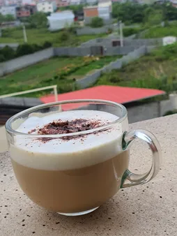 فرنچ پرس کد 810