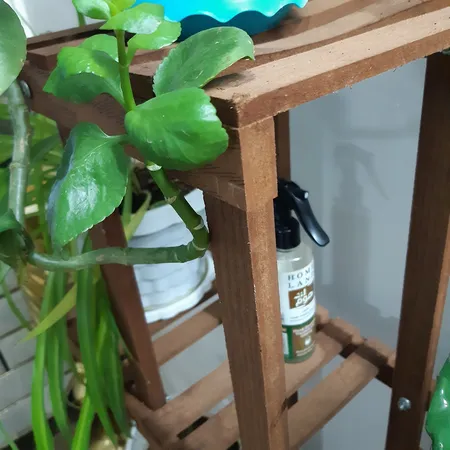 استند گلدان مدل Mtf5