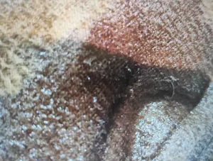 تجریه خرید کیسه آب گرم برقی مدل SP007