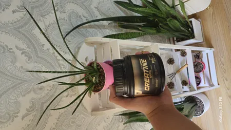 پودر کراتین مونوهیدرات صد در صد با طعم طالبی ترک نوتریشن - 250 گرم