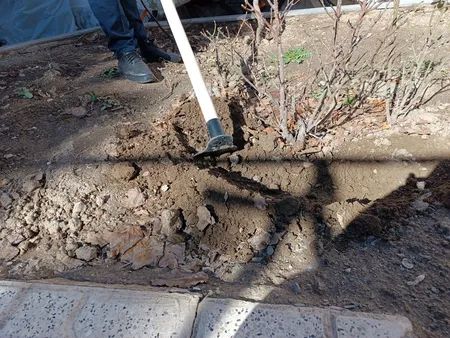 بیل ریشه زن مدل کج 710