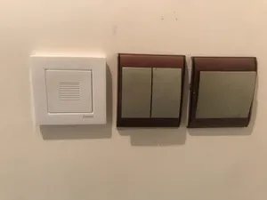 تجریه خرید زنگ دلند مدل آسا