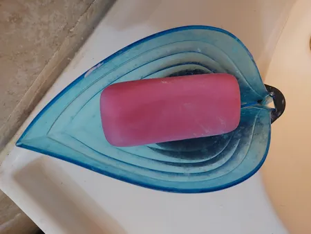 جا صابونی طرح گلبرگ مدل H109