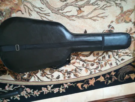 هارد کیس گیتار کلاسیک پلاس مدل Black