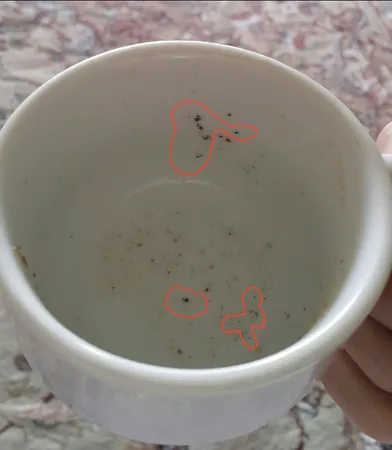 پودر سنجد ممتاز سرمد - 300 گرم