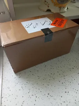 بسته کار با رزین اپوکسی چلیپا مدل Starter Kit مجموعه 22 عددی