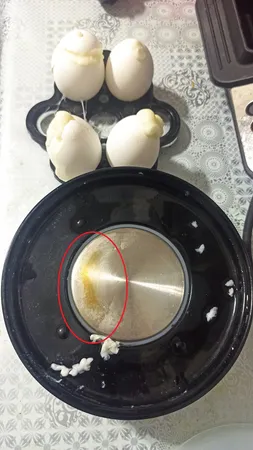 تخم مرغ پز ویداس مدل VIR-5013