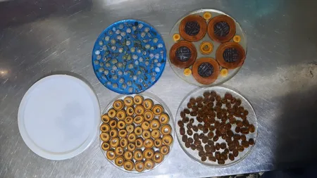 قالب رزین طرح دایره مدل زیر لیوانی کد C1