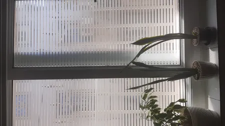 شیشه مات کن طرح کرکره ای کد 1012