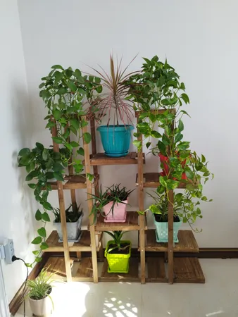 استند گل و گلدان مدل gol6