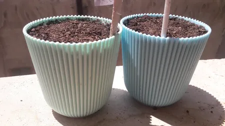 گلدان مدل آیما 11 مجموعه 6 عددی