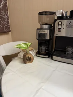 گلدان دکوری مدل 01