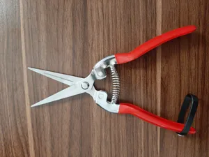 تجریه خرید قیچی میوه چینی رونیکس مدل RH-3150