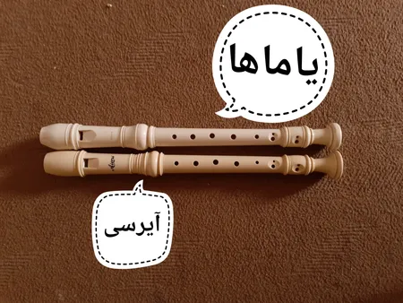 فلوت ریکوردر آیرسی مدل NA01