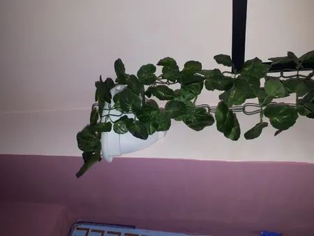 گلدان دیواری مدل 425