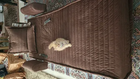 مبل تختخوابشو یک نفره مدل لِدا