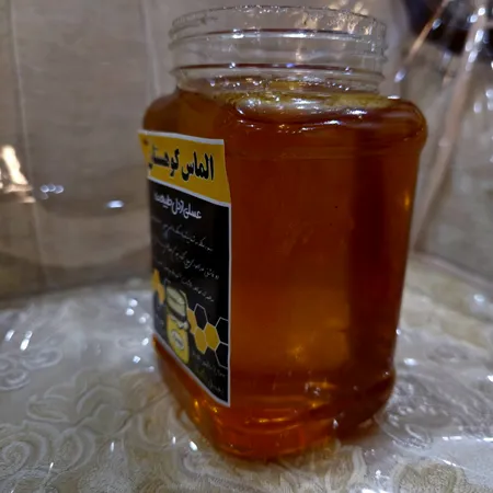 عسل طبیعی سبلان گون گز خام الماس کوهستان - 1 کیلوگرم