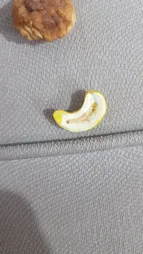 آجیل شیرین چهارمغز نات لاین - 1000 گرم