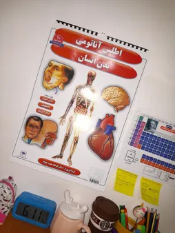 پوستر طرح اطلس آناتومی بدن انسان مجموعه 15 عددی