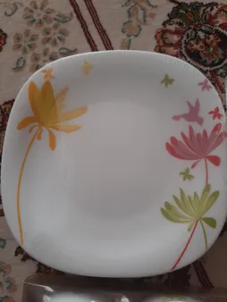 پیش دستی پارس اپال مدل Bird کد 440 بسته 6 عددی