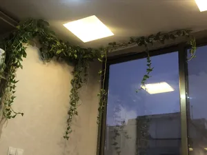 تجریه خرید گیره مدل پتوس بسته 100عددی