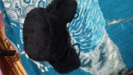 کلاه روسی طرح پوست کد 1104