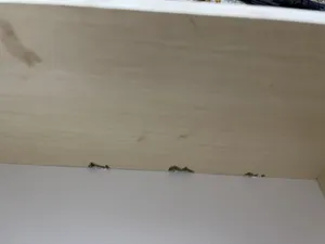 تجریه خرید میز آرایش کد MD005