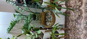 تجریه خرید آب نما سنگدانه مدل AB125