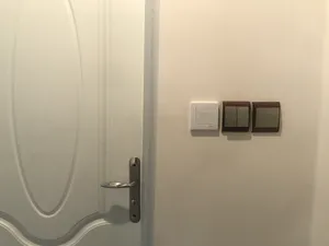 تجریه خرید زنگ دلند مدل آسا