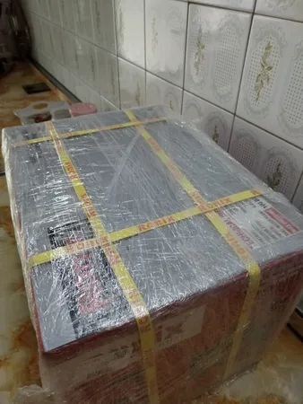 کارواش رونیکس مدل RP-0100C