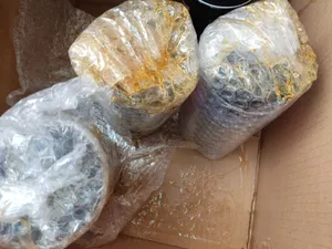 تجریه خرید عسل ژل رویال  - 600 گرم