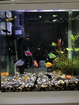 پد فیلتر آکواریوم مدل N 31235 بسته سه عددی