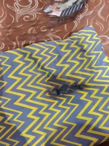 تجریه خرید تشک برقی راویس مدل TK-ZIG6040Y