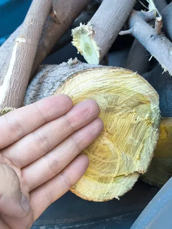 اره زنجیری ویوارکس مدل vr2106p-cs