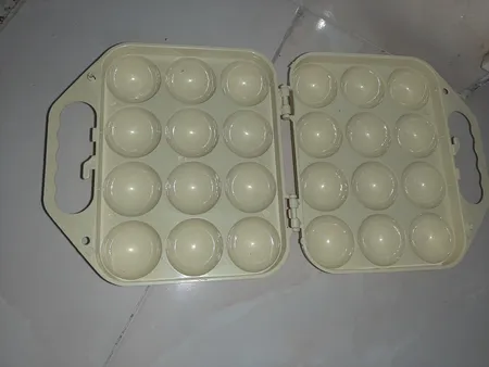 ظرف نگهدارنده تخم مرغ مدل نیکسون