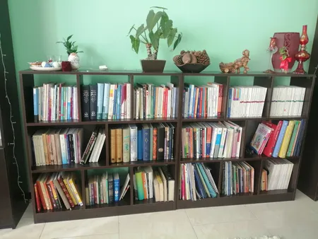 کتابخانه مدل ‌‌pm2010