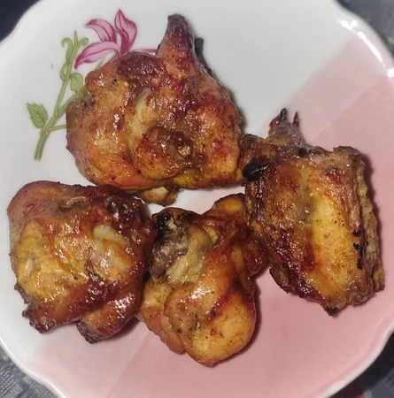 کباب پز گازی دادلیسان مدل آ‌پارتمانی