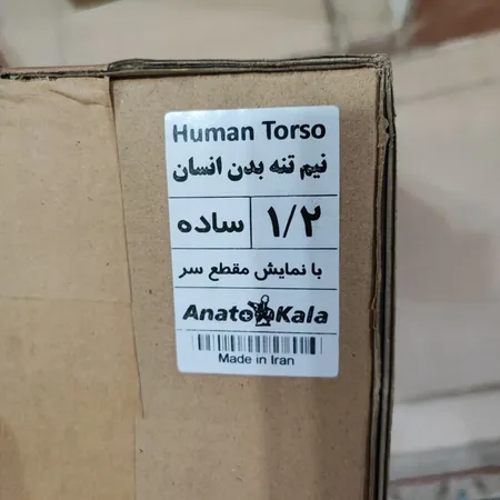 بازی آموزشی طرح مولاژ آناتومی بدن انسان مدل 4040